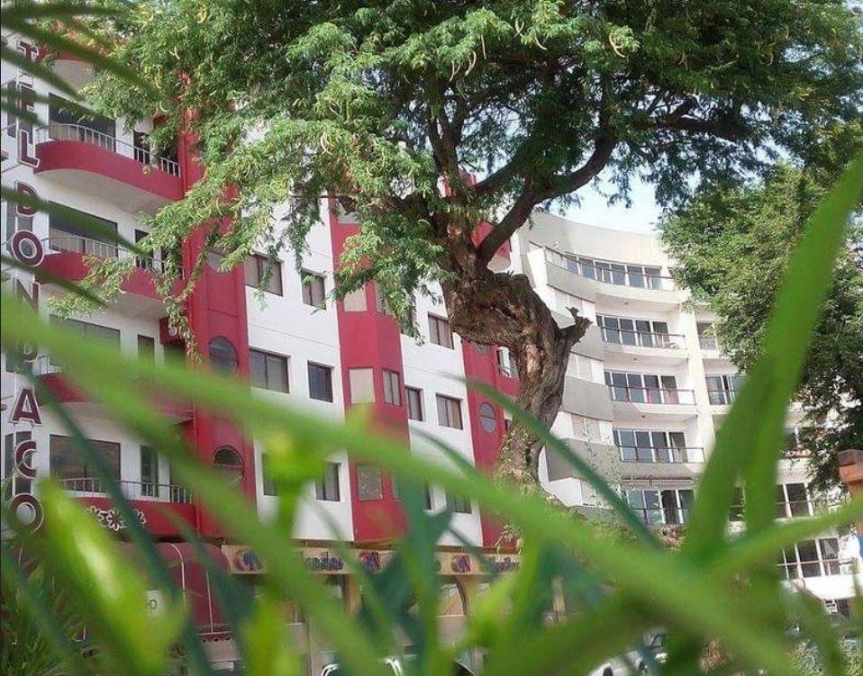 Hotel Livvo Don Paco منديلو المظهر الخارجي الصورة